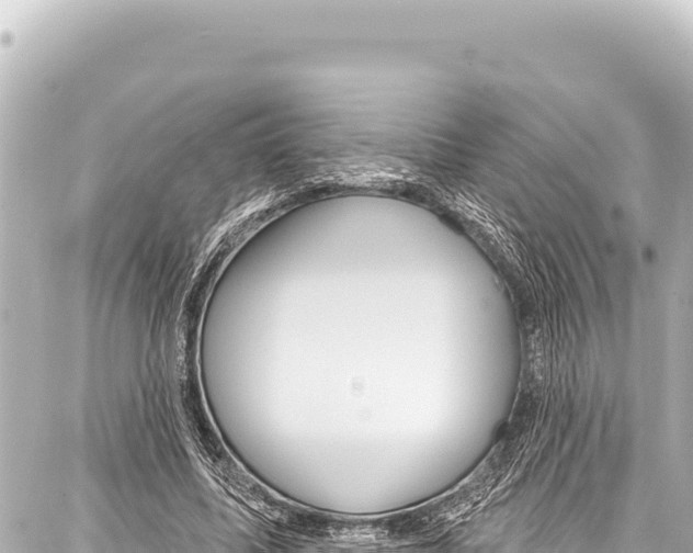 X0000086880587200705141412