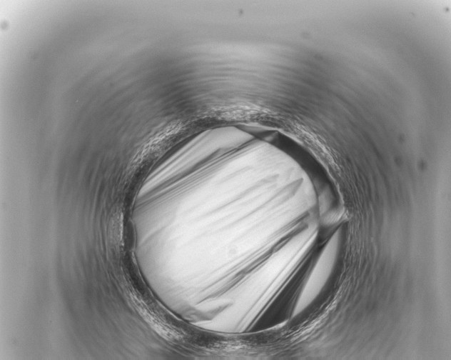 X0000086880589200705141412