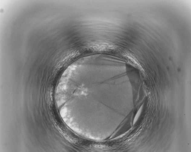 X0000086880590200705141412