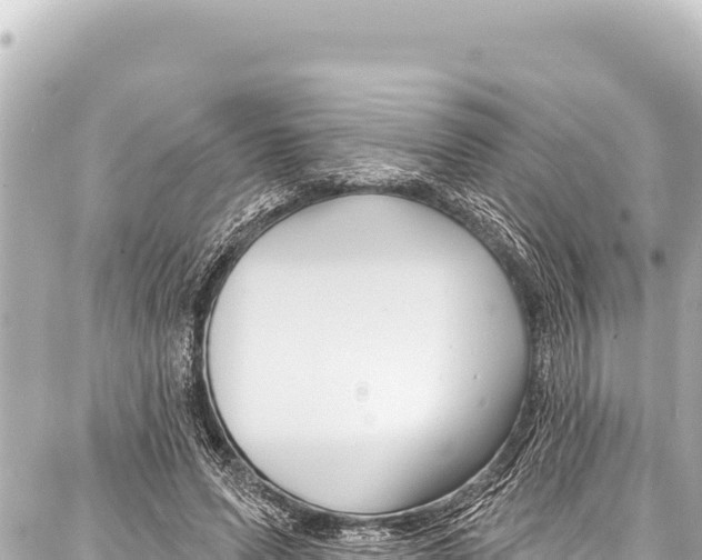 X0000086880591200705141412