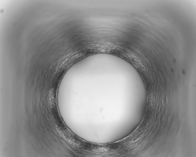 X0000086880594200705141412