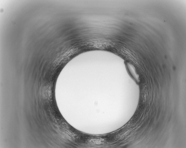 X0000086880595200705141412