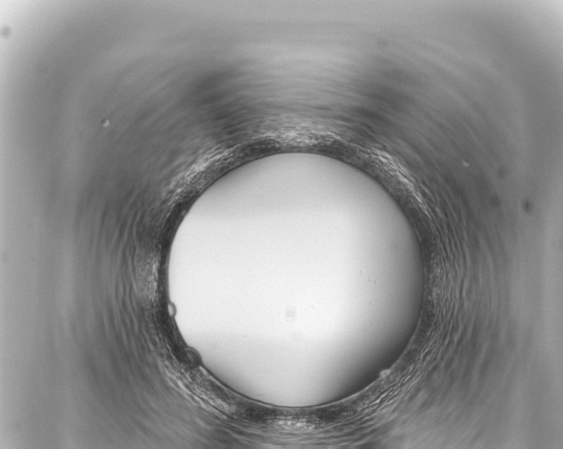 X0000086880596200705141412