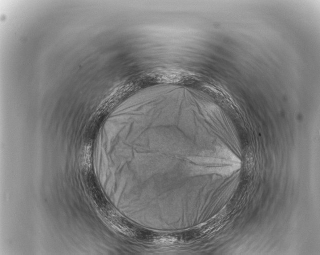 X0000086880598200705141412