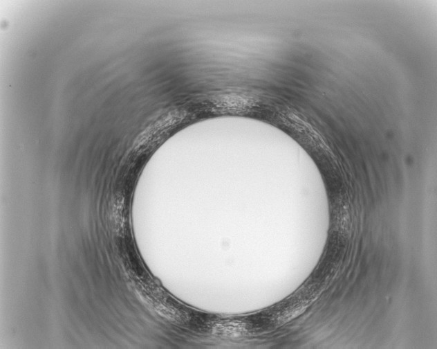 X0000086880599200705141412