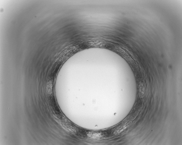 X0000086880602200705141412