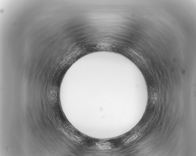 X0000086880603200705141412