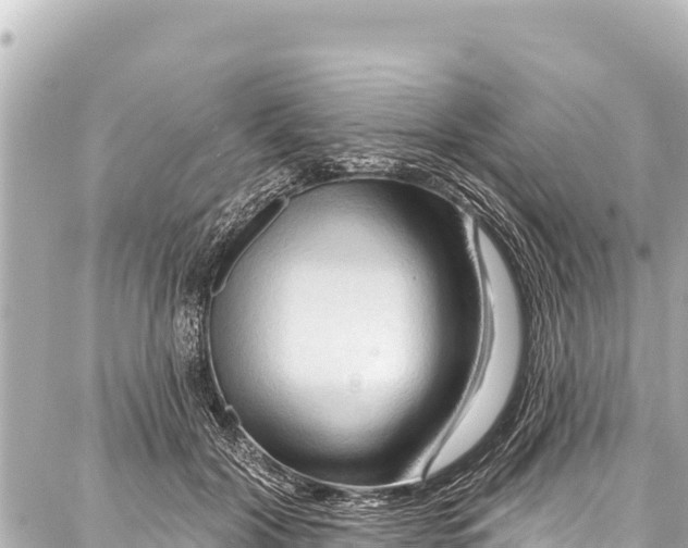 X0000086880604200705141412