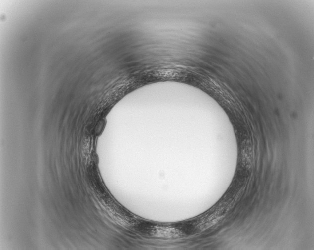 X0000086880605200705141412