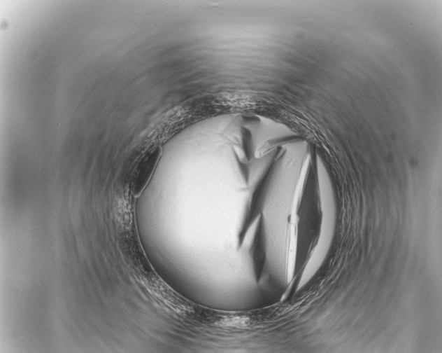 X0000086880609200705141412