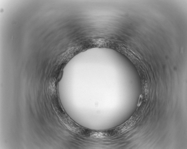 X0000086880611200705141412