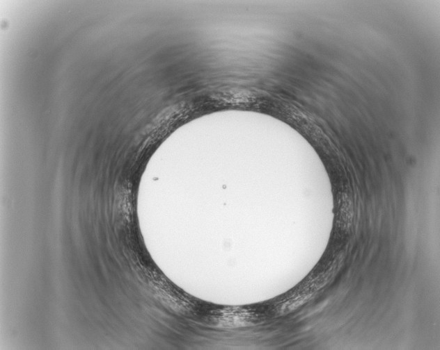 X0000086880612200705141412