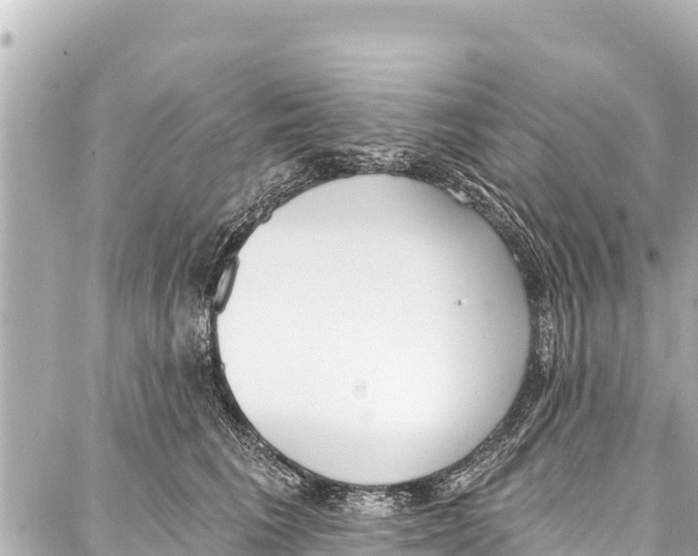 X0000086880613200705141412