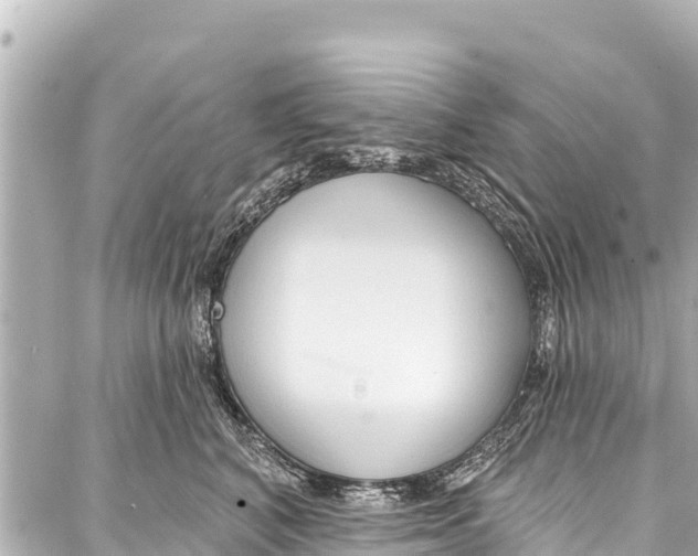 X0000086880616200705141412