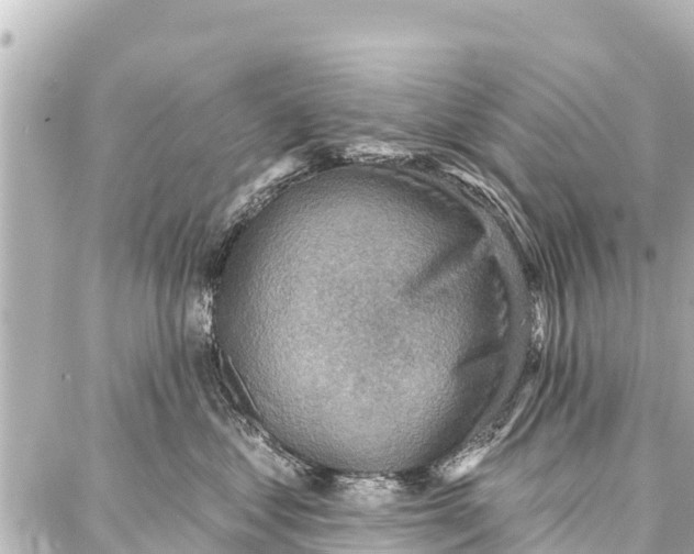 X0000086880621200705141412