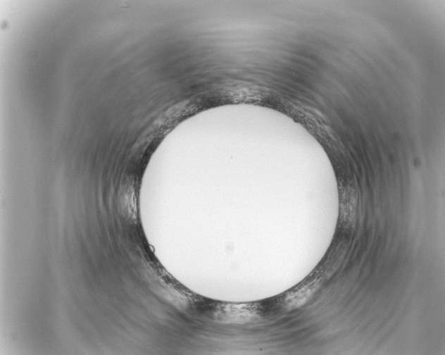 X0000086880622200705141412