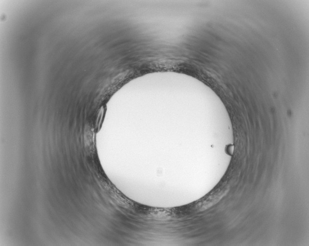 X0000086880624200705141412