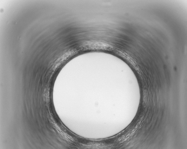 X0000086880629200705141411