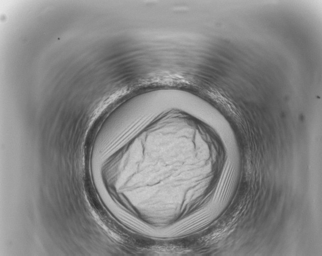 X0000086880630200705141411