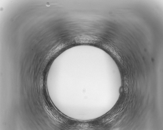 X0000086880631200705141411