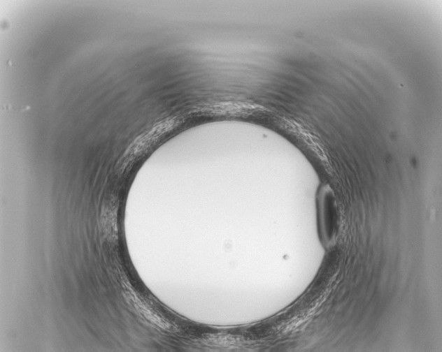 X0000086880633200705141411