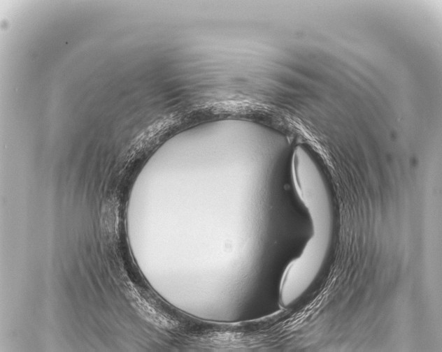 X0000086880637200705141411