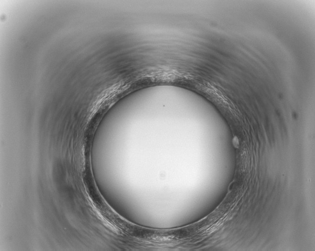 X0000086880638200705141411