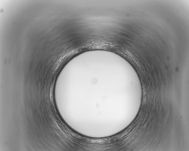 X0000086880640200705141411