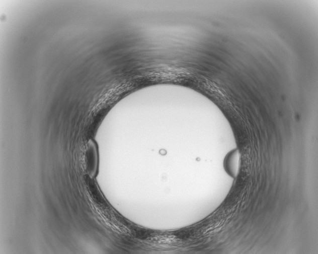 X0000086880642200705141411