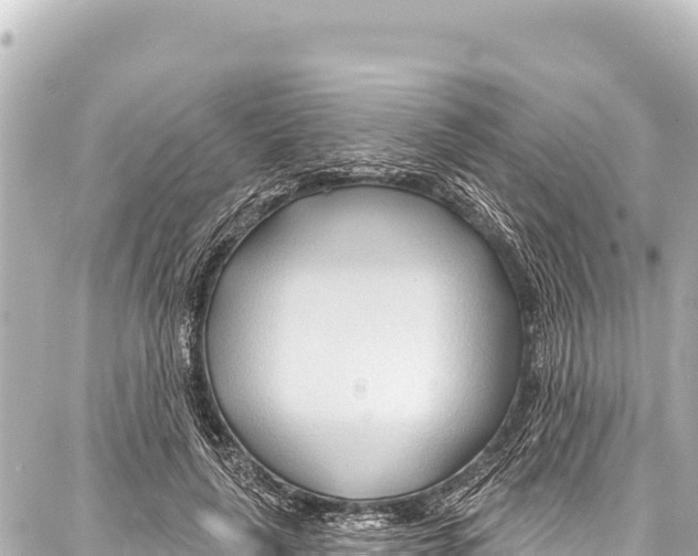 X0000086880643200705141411