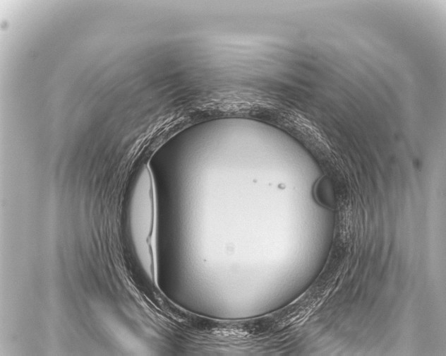 X0000086880644200705141411