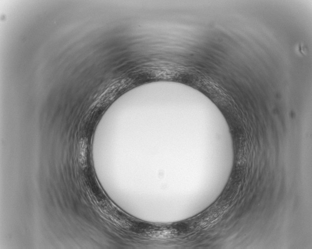 X0000086880646200705141411