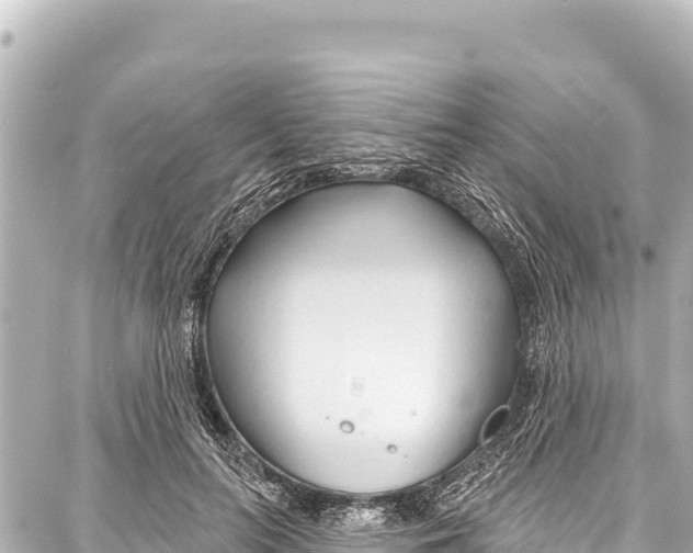 X0000086880647200705141411