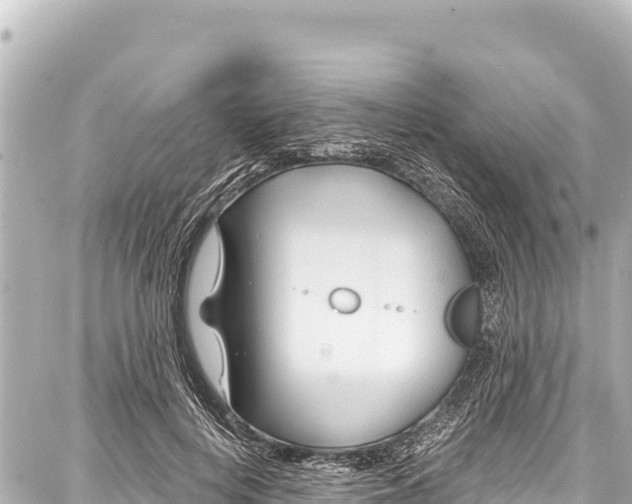 X0000086880648200705141411