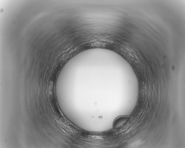 X0000086880649200705141411