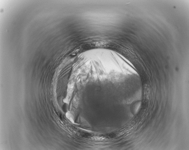 X0000086880650200705141411