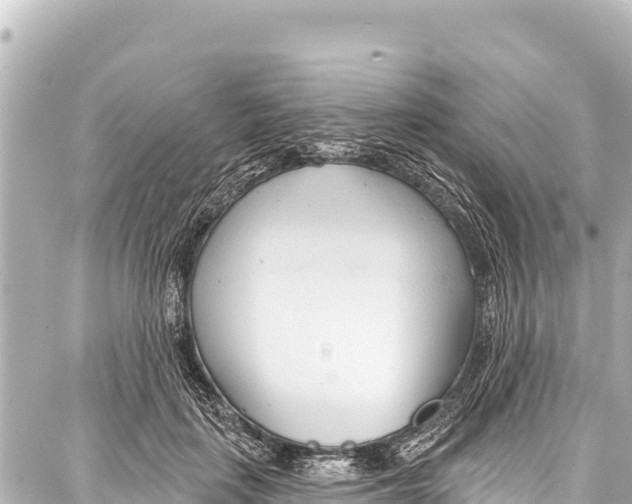 X0000086880651200705141411