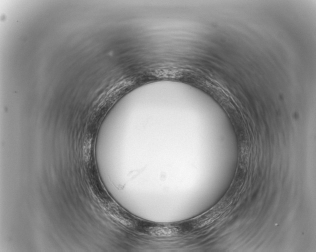 X0000086880652200705141411