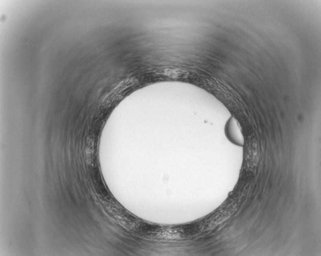 X0000086880656200705141411