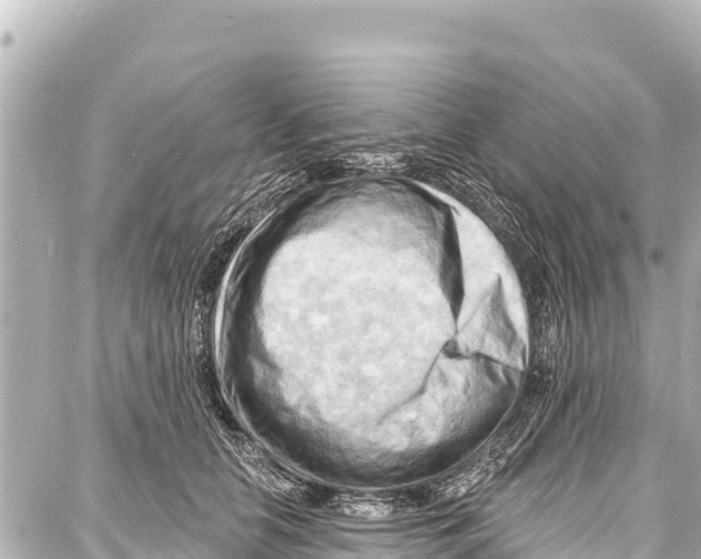 X0000086880658200705141411