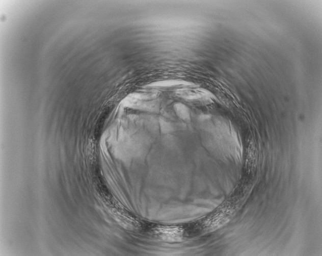 X0000086880659200705141411