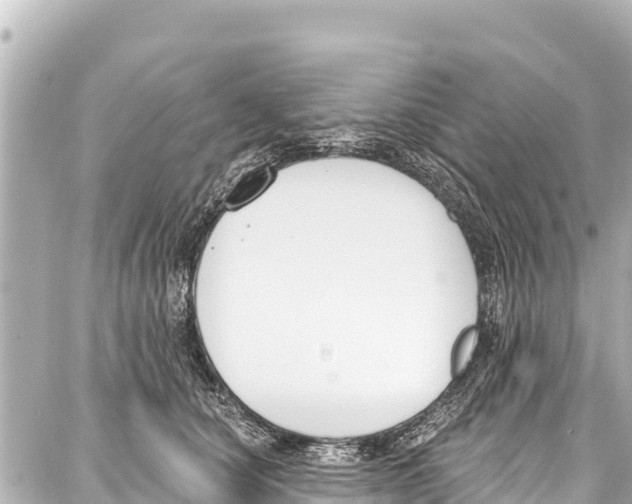 X0000086880660200705141411