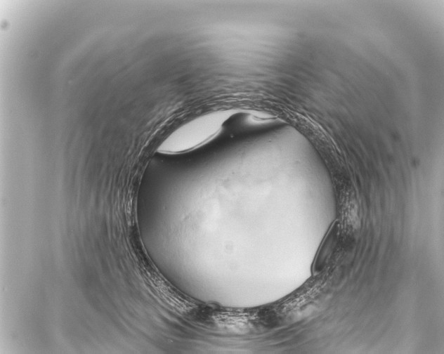 X0000086880661200705141411