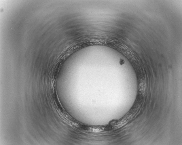 X0000086880662200705141411