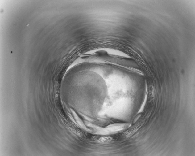 X0000086880663200705141411