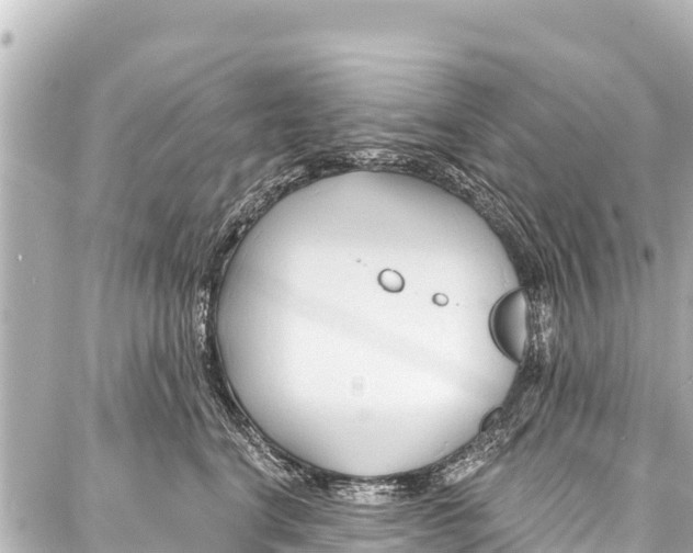 X0000086880664200705141412