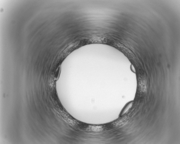 X0000086880665200705141412