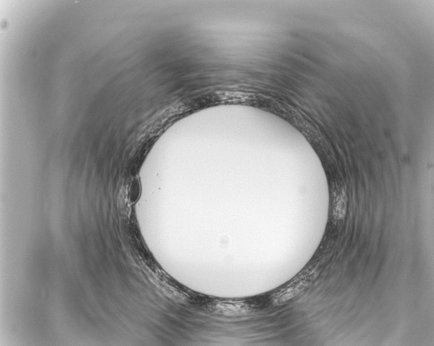 X0000086880666200705141412