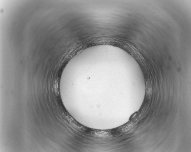 X0000086880669200705141412