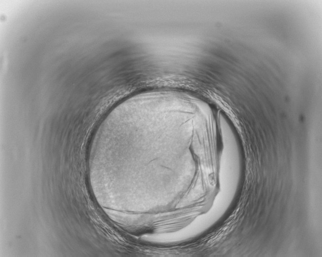 X0000086880673200705141411